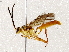  ( - BIOUG64460-B08)  @11 [ ] CreativeCommons - Attribution (2021) Centre for Biodiversity Genomics Centre for Biodiversity Genomics