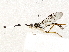  ( - BIOUG64460-B10)  @11 [ ] CreativeCommons - Attribution (2021) Centre for Biodiversity Genomics Centre for Biodiversity Genomics
