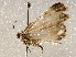  ( - BIOUG64460-D06)  @11 [ ] CreativeCommons - Attribution (2021) Centre for Biodiversity Genomics Centre for Biodiversity Genomics