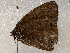  ( - BIOUG64460-D09)  @11 [ ] CreativeCommons - Attribution (2021) Centre for Biodiversity Genomics Centre for Biodiversity Genomics
