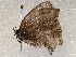  ( - BIOUG64460-D10)  @11 [ ] CreativeCommons - Attribution (2021) Centre for Biodiversity Genomics Centre for Biodiversity Genomics