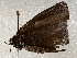  ( - BIOUG64460-D11)  @11 [ ] CreativeCommons - Attribution (2021) Centre for Biodiversity Genomics Centre for Biodiversity Genomics