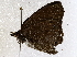  ( - BIOUG64460-D12)  @11 [ ] CreativeCommons - Attribution (2021) Centre for Biodiversity Genomics Centre for Biodiversity Genomics