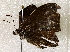  ( - BIOUG64460-E01)  @11 [ ] CreativeCommons - Attribution (2021) Centre for Biodiversity Genomics Centre for Biodiversity Genomics