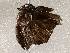  ( - BIOUG64460-E02)  @11 [ ] CreativeCommons - Attribution (2021) Centre for Biodiversity Genomics Centre for Biodiversity Genomics