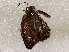  ( - BIOUG64460-E04)  @11 [ ] CreativeCommons - Attribution (2021) Centre for Biodiversity Genomics Centre for Biodiversity Genomics