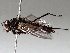  ( - BIOUG71252-E11)  @11 [ ] CreativeCommons - Attribution (2021) CBG Photography Group Centre for Biodiversity Genomics
