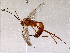  ( - BIOUG73018-F07)  @11 [ ] CreativeCommons - Attribution (2021) CBG Photography Group Centre for Biodiversity Genomics