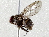  ( - BIOUG73019-B06)  @11 [ ] CreativeCommons - Attribution (2021) CBG Photography Group Centre for Biodiversity Genomics