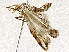  ( - BIOUG73019-E06)  @11 [ ] CreativeCommons - Attribution (2021) CBG Photography Group Centre for Biodiversity Genomics