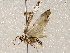  ( - BIOUG62724-D04)  @11 [ ] CreativeCommons - Attribution (2021) Centre for Biodiversity Genomics Centre for Biodiversity Genomics