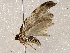  ( - BIOUG62724-D06)  @11 [ ] CreativeCommons - Attribution (2021) Centre for Biodiversity Genomics Centre for Biodiversity Genomics