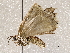  ( - BIOUG62724-E06)  @11 [ ] CreativeCommons - Attribution (2021) Centre for Biodiversity Genomics Centre for Biodiversity Genomics
