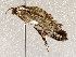  ( - BIOUG62724-F03)  @11 [ ] CreativeCommons - Attribution (2021) Centre for Biodiversity Genomics Centre for Biodiversity Genomics