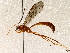  ( - BIOUG62724-G01)  @11 [ ] CreativeCommons - Attribution (2021) Centre for Biodiversity Genomics Centre for Biodiversity Genomics