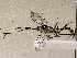  ( - BIOUG62724-H09)  @11 [ ] CreativeCommons - Attribution (2021) Centre for Biodiversity Genomics Centre for Biodiversity Genomics