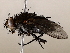  ( - BIOUG62725-A02)  @11 [ ] CreativeCommons - Attribution (2021) CBG Photography Group Centre for Biodiversity Genomics