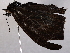  ( - BIOUG64398-C09)  @11 [ ] CreativeCommons - Attribution (2021) CBG Photography Group Centre for Biodiversity Genomics