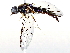  ( - BIOUG64400-B08)  @11 [ ] CreativeCommons - Attribution (2021) CBG Photography Group Centre for Biodiversity Genomics