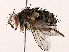  ( - BIOUG64400-C01)  @11 [ ] CreativeCommons - Attribution (2021) CBG Photography Group Centre for Biodiversity Genomics