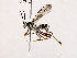  ( - BIOUG64400-E11)  @11 [ ] CreativeCommons - Attribution (2021) CBG Photography Group Centre for Biodiversity Genomics