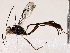 ( - BIOUG64400-G11)  @11 [ ] CreativeCommons - Attribution (2021) CBG Photography Group Centre for Biodiversity Genomics