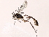  ( - BIOUG64400-H01)  @11 [ ] CreativeCommons - Attribution (2021) CBG Photography Group Centre for Biodiversity Genomics