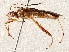  ( - BIOUG64461-C01)  @11 [ ] CreativeCommons - Attribution (2021) Centre for Biodiversity Genomics Centre for Biodiversity Genomics