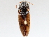  ( - BIOUG71254-D03)  @11 [ ] CreativeCommons - Attribution (2021) CBG Photography Group Centre for Biodiversity Genomics