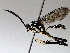  ( - BIOUG71254-E12)  @11 [ ] CreativeCommons - Attribution (2021) CBG Photography Group Centre for Biodiversity Genomics