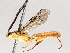  ( - BIOUG71254-G02)  @11 [ ] CreativeCommons - Attribution (2021) CBG Photography Group Centre for Biodiversity Genomics