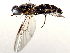  ( - BIOUG71255-B02)  @11 [ ] CreativeCommons - Attribution (2021) CBG Photography Group Centre for Biodiversity Genomics