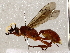  ( - BIOUG72909-B05)  @11 [ ] CreativeCommons - Attribution (2021) CBG Photography Group Centre for Biodiversity Genomics