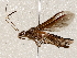  ( - BIOUG72909-D07)  @11 [ ] CreativeCommons - Attribution (2021) CBG Photography Group Centre for Biodiversity Genomics