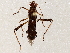  ( - BIOUG72909-D10)  @11 [ ] CreativeCommons - Attribution (2021) CBG Photography Group Centre for Biodiversity Genomics