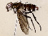  ( - BIOUG72911-A07)  @11 [ ] CreativeCommons - Attribution (2021) CBG Photography Group Centre for Biodiversity Genomics