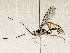  ( - BIOUG72911-H04)  @11 [ ] CreativeCommons - Attribution (2021) CBG Photography Group Centre for Biodiversity Genomics