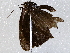  ( - BIOUG73020-C09)  @11 [ ] CreativeCommons - Attribution (2021) CBG Photography Group Centre for Biodiversity Genomics