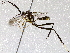  ( - BIOUG73020-F06)  @11 [ ] CreativeCommons - Attribution (2021) CBG Photography Group Centre for Biodiversity Genomics