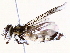  ( - BIOUG73021-A11)  @11 [ ] CreativeCommons - Attribution (2021) CBG Photography Group Centre for Biodiversity Genomics