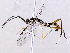  ( - BIOUG73021-D01)  @11 [ ] CreativeCommons - Attribution (2021) CBG Photography Group Centre for Biodiversity Genomics