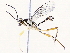  ( - BIOUG73021-D03)  @11 [ ] CreativeCommons - Attribution (2021) CBG Photography Group Centre for Biodiversity Genomics