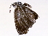  ( - BIOUG73021-G06)  @11 [ ] CreativeCommons - Attribution (2021) CBG Photography Group Centre for Biodiversity Genomics