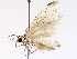  ( - BIOUG73021-G10)  @11 [ ] CreativeCommons - Attribution (2021) CBG Photography Group Centre for Biodiversity Genomics