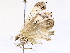 ( - BIOUG73021-G11)  @11 [ ] CreativeCommons - Attribution (2021) CBG Photography Group Centre for Biodiversity Genomics