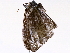  ( - BIOUG73021-H02)  @11 [ ] CreativeCommons - Attribution (2021) CBG Photography Group Centre for Biodiversity Genomics