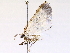  ( - BIOUG73021-H09)  @11 [ ] CreativeCommons - Attribution (2021) CBG Photography Group Centre for Biodiversity Genomics