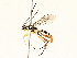  ( - BIOUG73022-F02)  @11 [ ] CreativeCommons - Attribution (2021) CBG Photography Group Centre for Biodiversity Genomics
