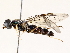  ( - BIOUG73022-F08)  @11 [ ] CreativeCommons - Attribution (2021) CBG Photography Group Centre for Biodiversity Genomics