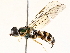  ( - BIOUG73022-F09)  @11 [ ] CreativeCommons - Attribution (2021) CBG Photography Group Centre for Biodiversity Genomics